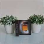 Flaconete Dolce & Gabbana The One Pour Homme EDT 0,8 ml